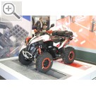 Autopromotec 2017 in Bologna. CARTEC Bremsprüfstände und Leistungsprüfstände gibt es für sämtliche Fahrzeugklassen.  